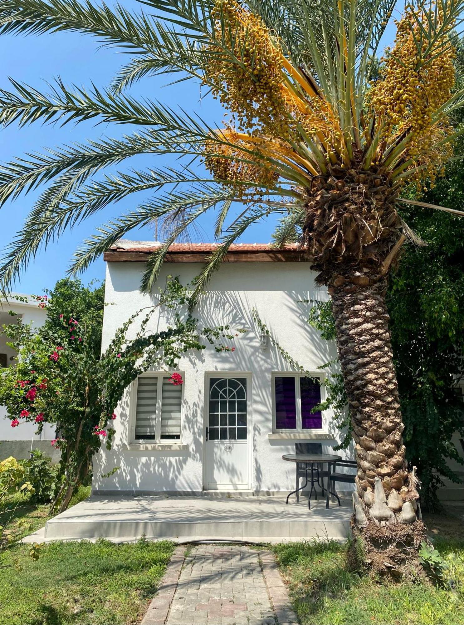 The Prince Inn Hotel & Villas Agios Georgios  Buitenkant foto