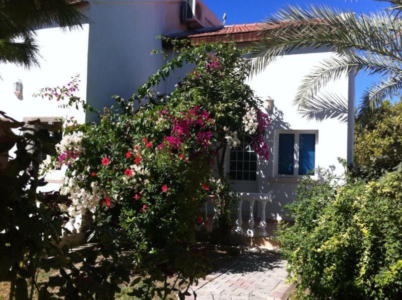 The Prince Inn Hotel & Villas Agios Georgios  Buitenkant foto