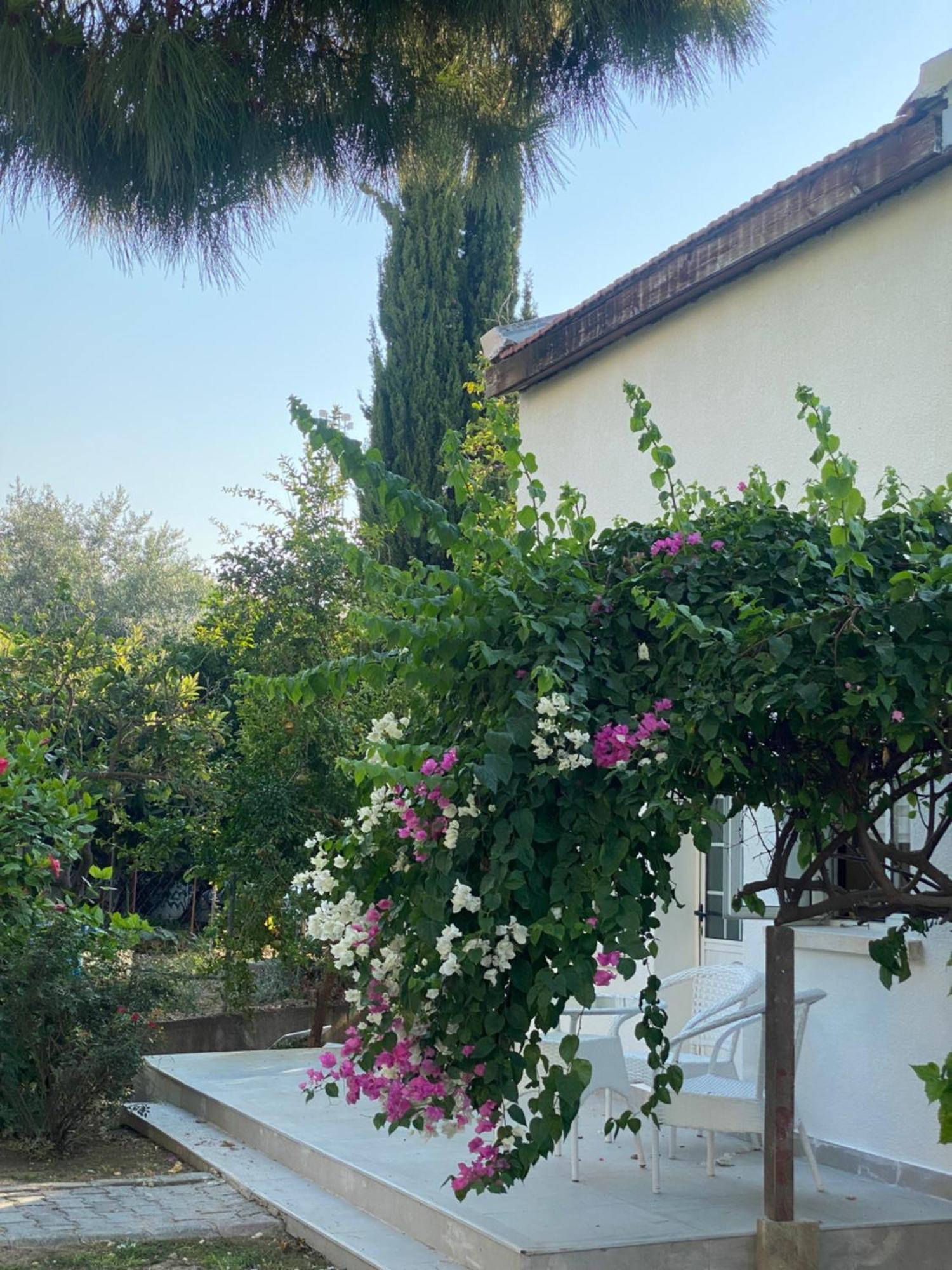 The Prince Inn Hotel & Villas Agios Georgios  Buitenkant foto